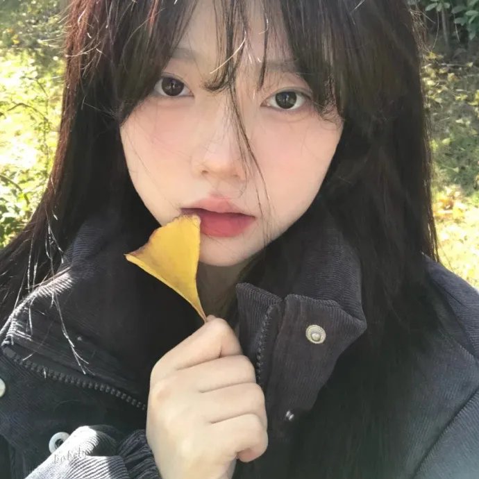 许你真心岁岁欢